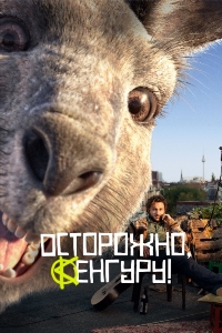 Осторожно, Кенгуру!